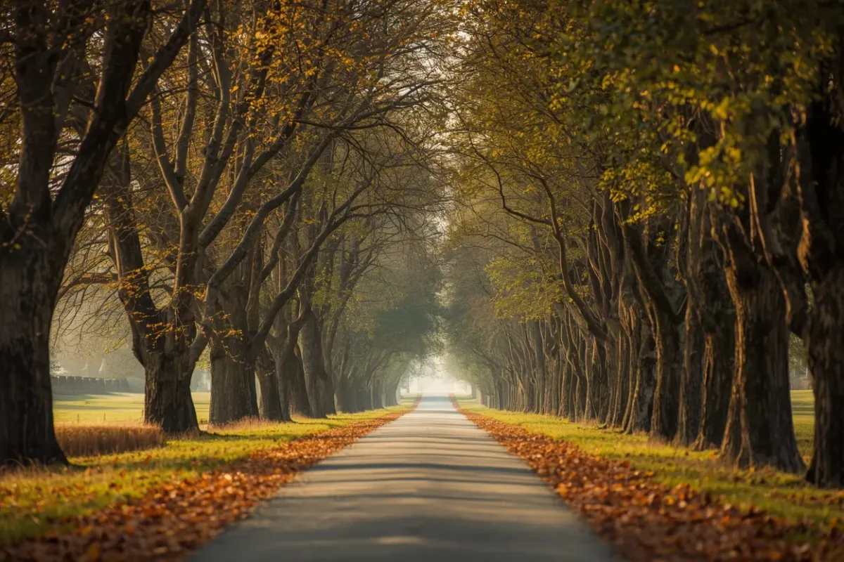 La même promenade, chaque jour, exprès